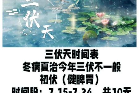 今年的伏天一共是多少天 今年的伏天是从哪天到哪天