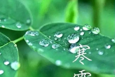 2022年寒露的准确日期及其对应的农历时间查询