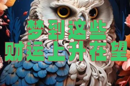 和财运 和财运好的人在一起,他会带走你的好运吗