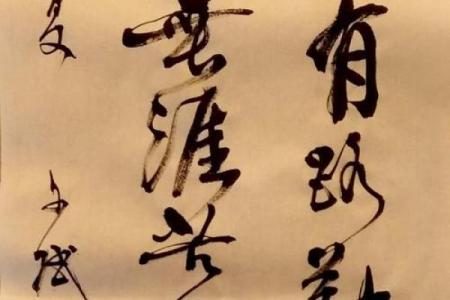 学海无涯打一动物(学海无涯打一动物正确答案)