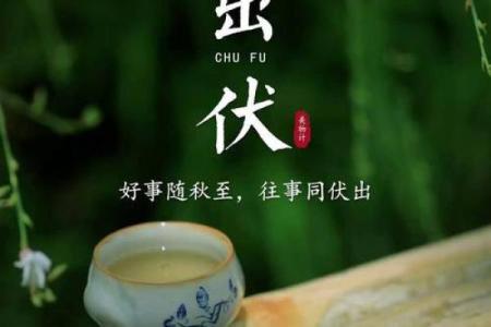 2021年夏天哪天入伏(2021年夏天啥时入伏)