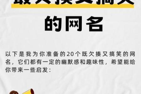 搞笑的qq网名(最搞笑的qq网名大全)