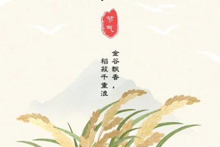 想知道2018年立秋的准确日期和具体时间点