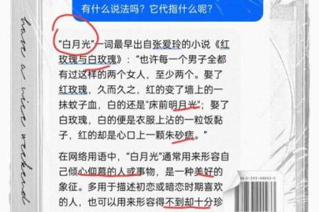 白月光和朱砂痣 白月光和朱砂痣张爱玲原话
