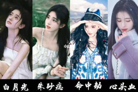 意难平,白月光,朱砂痣 意难平,白月光,朱砂痣,命中劫