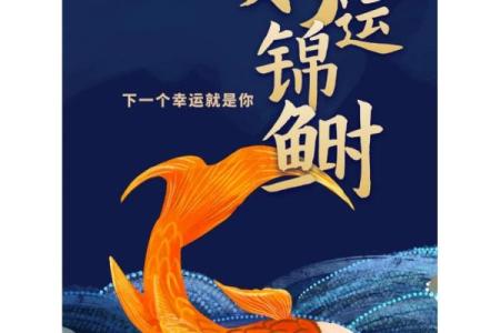 锦鲤的 锦鲤的诗句