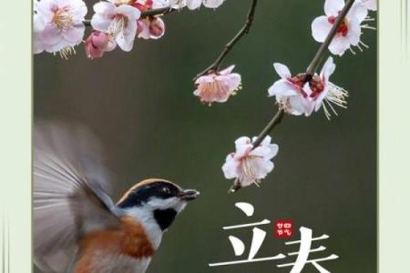 2023年立春是什么时候时间(2023立春是每年的几月几日)