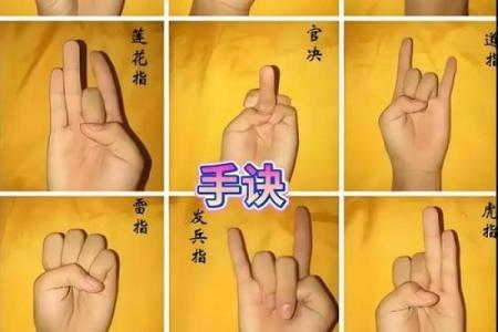 食指和无名指一样长寓意 食指和无名指一样长寓意着什么