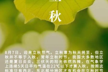 几点立秋今年(去年几点立秋)