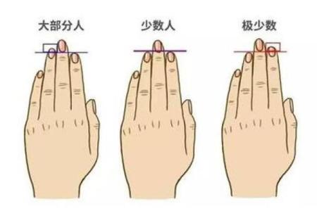 一般人是食指长还是无名指长 人的食指比无名指长
