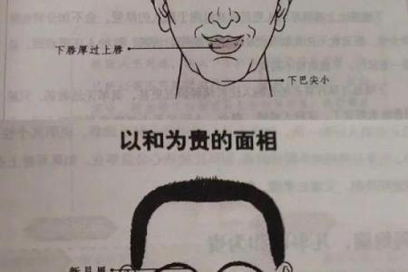 断眉的人有什么说法 断眉的面相有什么说法