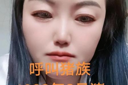 1983年猪大忌颜色 1983的猪什么颜色旺