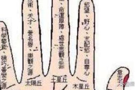 食指和无名指谁更长 食指和无名指谁更长一点呢