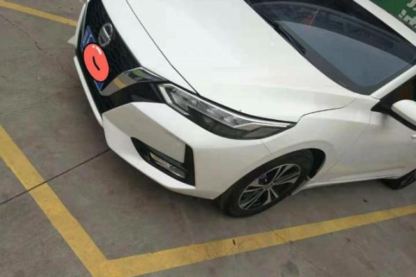 属虎人提车选日子有什么讲究和禁忌