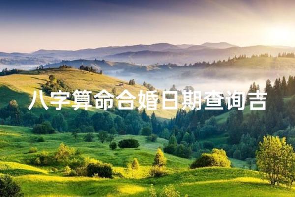 免费测算领证吉日需要提供哪些信息？双方生辰八字怎么输入？
