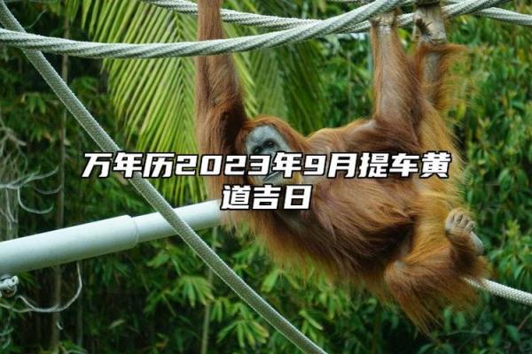 请问9月份最适合提车的黄道吉日有哪些？求具体日期推荐