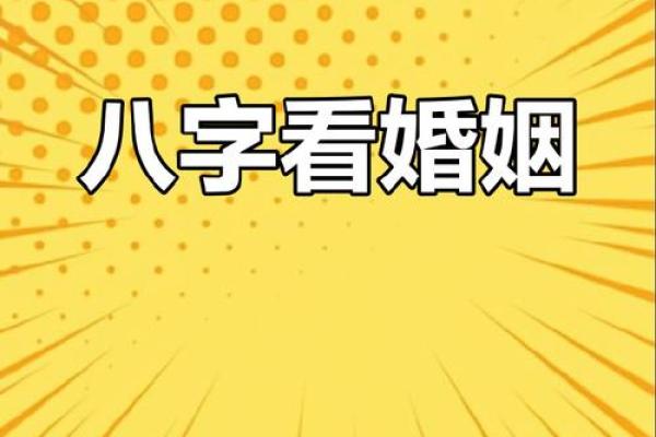 想找免费的八字合婚择吉日服务，请问哪个平台比较专业可靠？