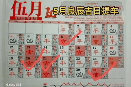2025年属马人提车吉日一览表，如何选择最佳日期？