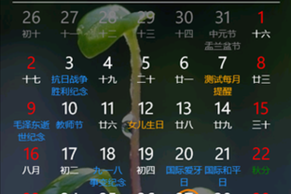 中华万年历老黄历免费安装过程中是否需要开启手机权限及安全性如何？