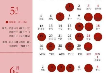 2025年属兔人结婚黄道吉日查询，哪个月份最适合办婚礼